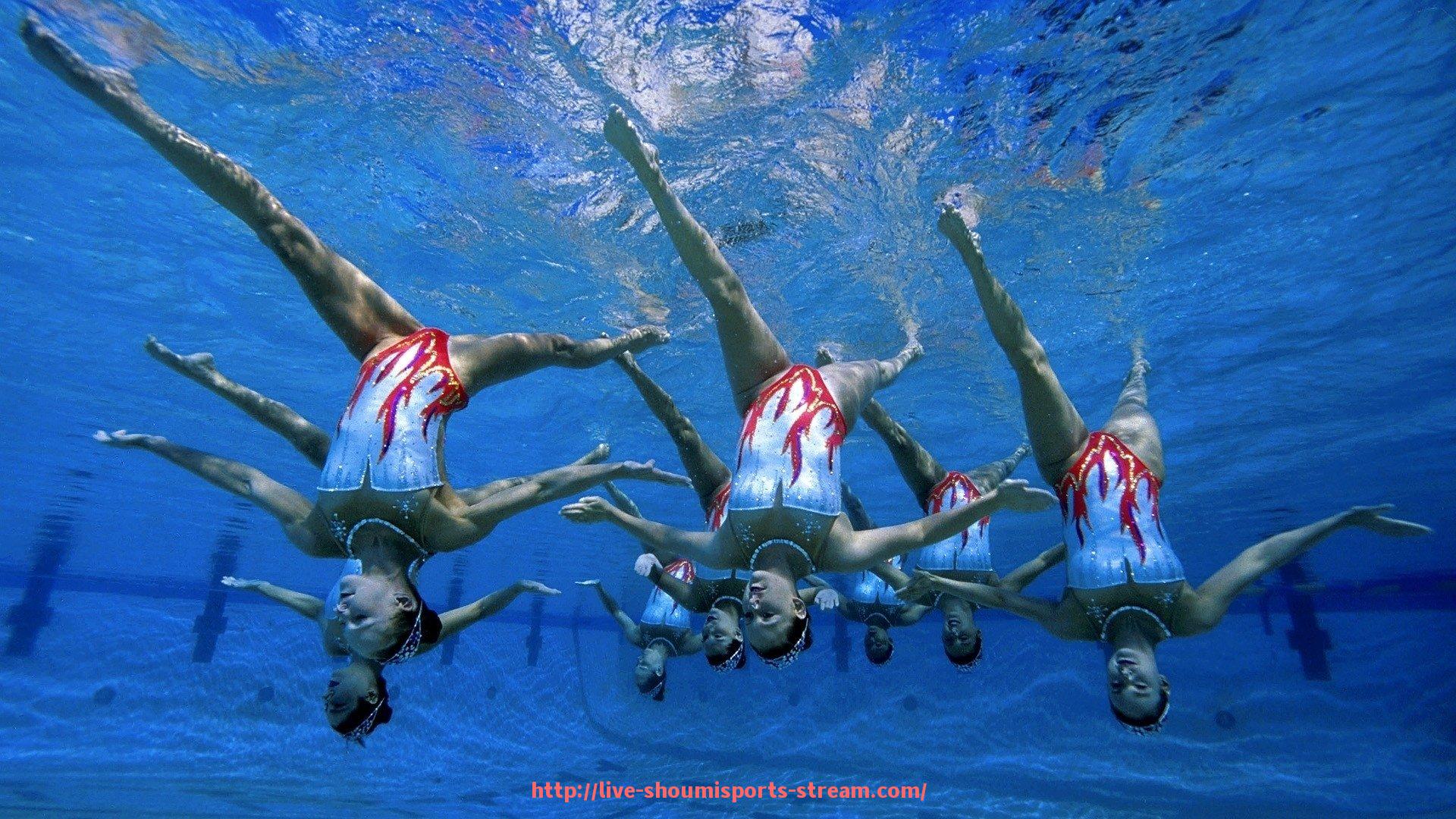 收米体育直播-法甲年度比赛数据统计报告及图表可视化